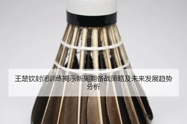 wang-chu-qin-feng-bi-xun-lian-jie-shi-xin-zhou-qi-bei-zhan-ce-lve-ji-wei-lai-fa-zhan-qu-shi-fen-xi-2-264.jpg